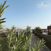 фото из отзыва ID 2724206