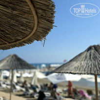 фото из отзыва ID 2724210