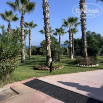 фото из отзыва ID 2724223