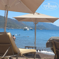 фото из отзыва ID 2724231