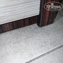 фото из отзыва ID 2724251