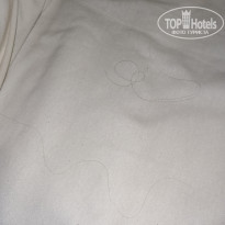 фото из отзыва ID 2724251