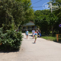 фото из отзыва ID 2724155