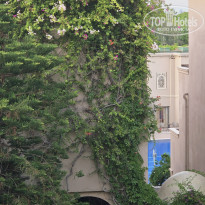 фото из отзыва ID 2724275