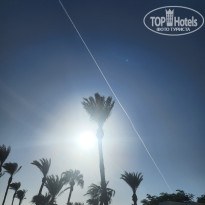 фото из отзыва ID 2724285