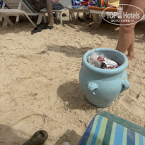 фото из отзыва ID 2724256