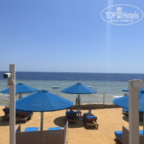 фото из отзыва ID 2724302