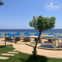 фото из отзыва ID 2724302