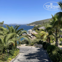 фото из отзыва ID 2724309