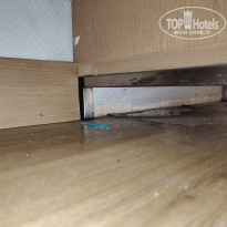 фото из отзыва ID 2724316