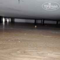 фото из отзыва ID 2724316