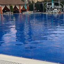 фото из отзыва ID 2724363