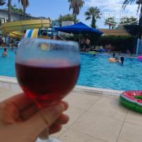 фото из отзыва ID 2724372