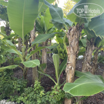 фото из отзыва ID 2724379