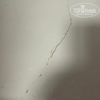 фото из отзыва ID 2724342