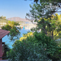 фото из отзыва ID 2724412