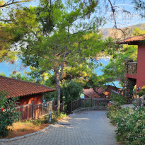 фото из отзыва ID 2724412