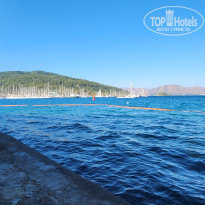 фото из отзыва ID 2724412