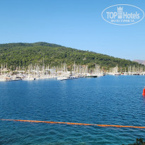 фото из отзыва ID 2724412