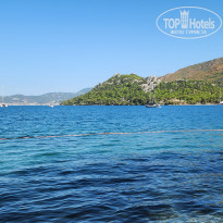 фото из отзыва ID 2724412