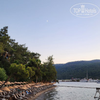 фото из отзыва ID 2724412