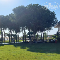 фото из отзыва ID 2724423