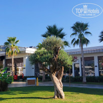 фото из отзыва ID 2724423