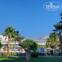 фото из отзыва ID 2724423