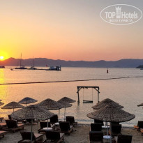 фото из отзыва ID 2724412