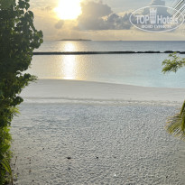 фото из отзыва ID 2724438