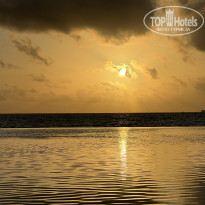 фото из отзыва ID 2724438