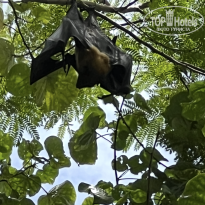 фото из отзыва ID 2724438