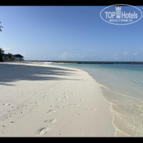 фото из отзыва ID 2724438