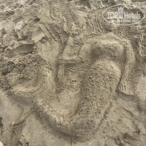 фото из отзыва ID 2724440