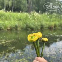 фото из отзыва ID 2724450