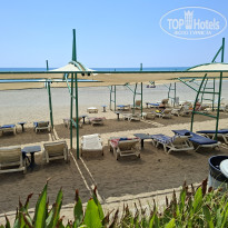 фото из отзыва ID 2724448