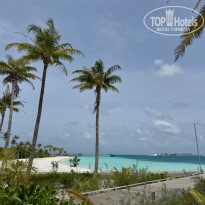 фото из отзыва ID 2724514