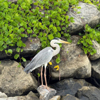 фото из отзыва ID 2724514