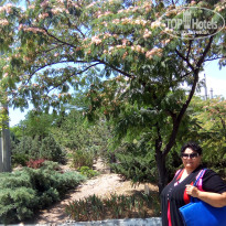 фото из отзыва ID 2724463