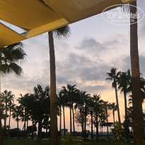 фото из отзыва ID 2724558