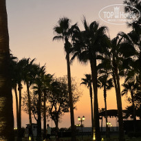 фото из отзыва ID 2724558