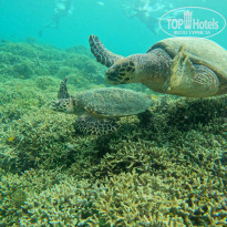 фото из отзыва ID 2724567