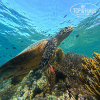 фото из отзыва ID 2724567