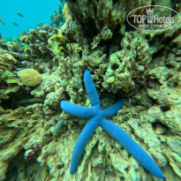 фото из отзыва ID 2724567