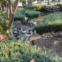 фото из отзыва ID 2724581