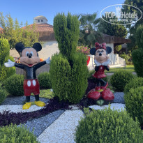 фото из отзыва ID 2724581