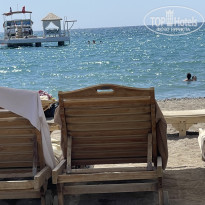 фото из отзыва ID 2724581