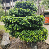 фото из отзыва ID 2724584