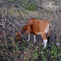 фото из отзыва ID 2724567