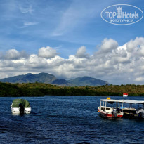 фото из отзыва ID 2724567